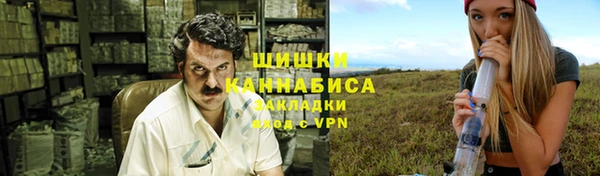 гидра Абаза