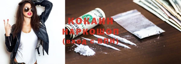 гидра Абаза