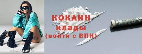гидра Абаза