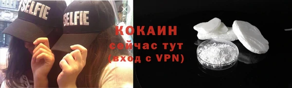 гидра Абаза
