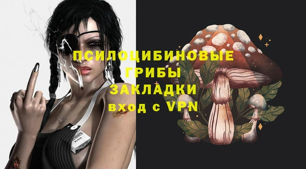 гидра Абаза