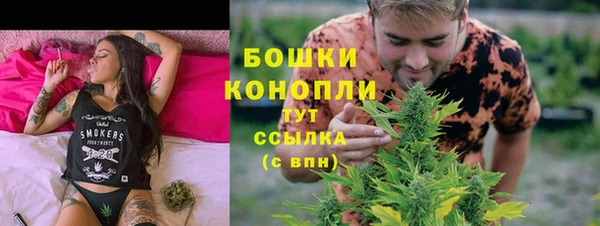 гидра Абаза