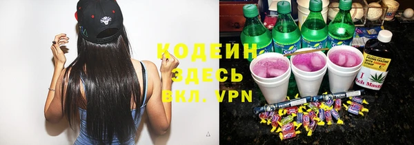 гидра Абаза