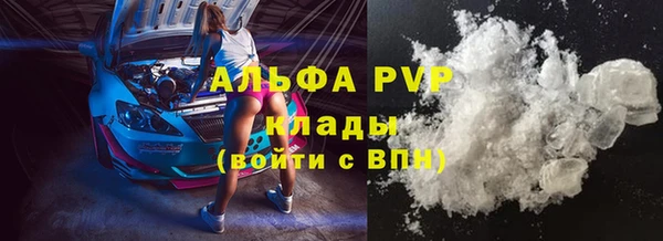 гидра Абаза