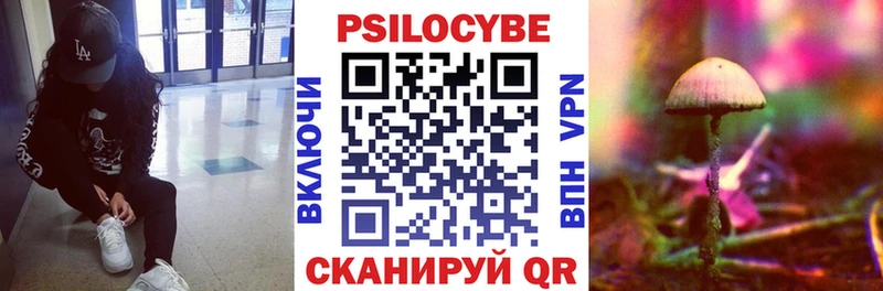 Псилоцибиновые грибы ЛСД omg ССЫЛКА Новосибирск