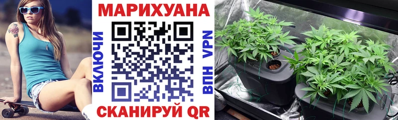 Каннабис сатива darknet официальный сайт Новосибирск